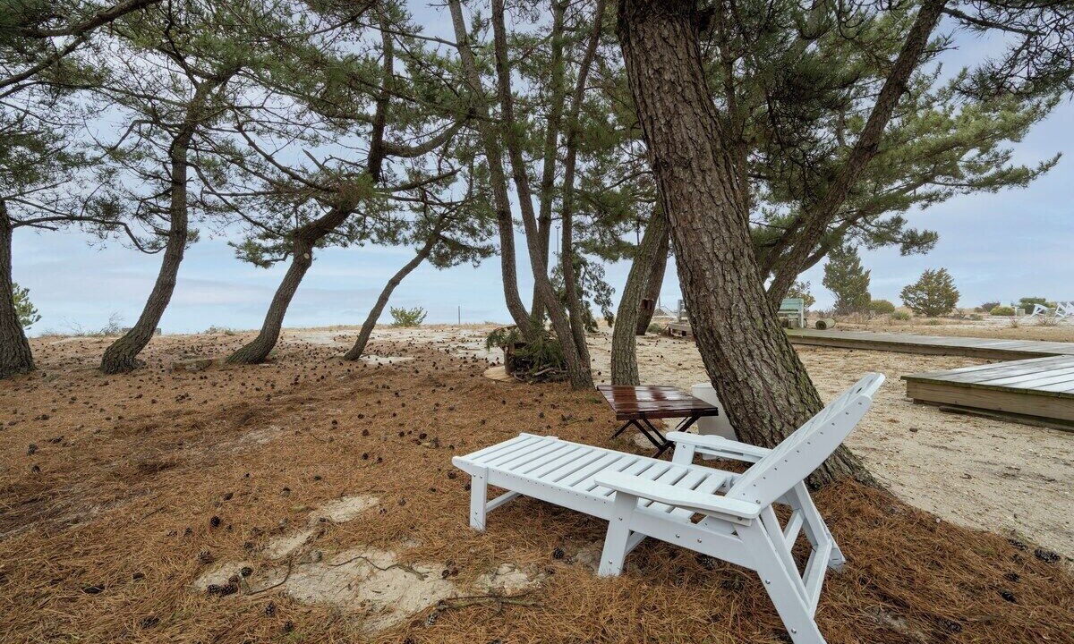 Photo of Outdoor in Slaughter Beach