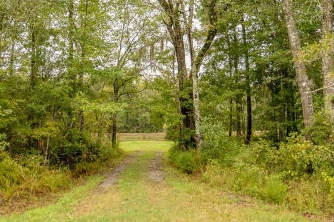 Photo of Others in Ridgeville