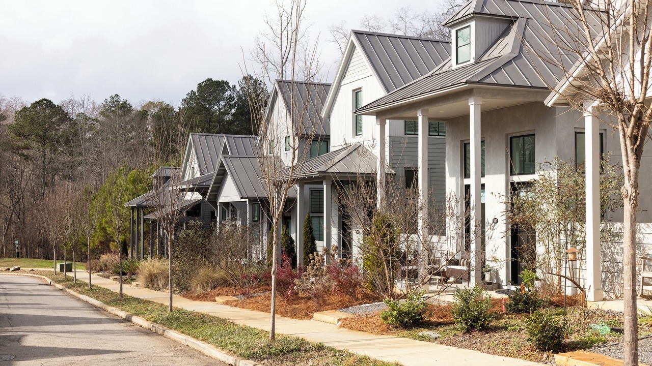 Photo of Others in Palmetto