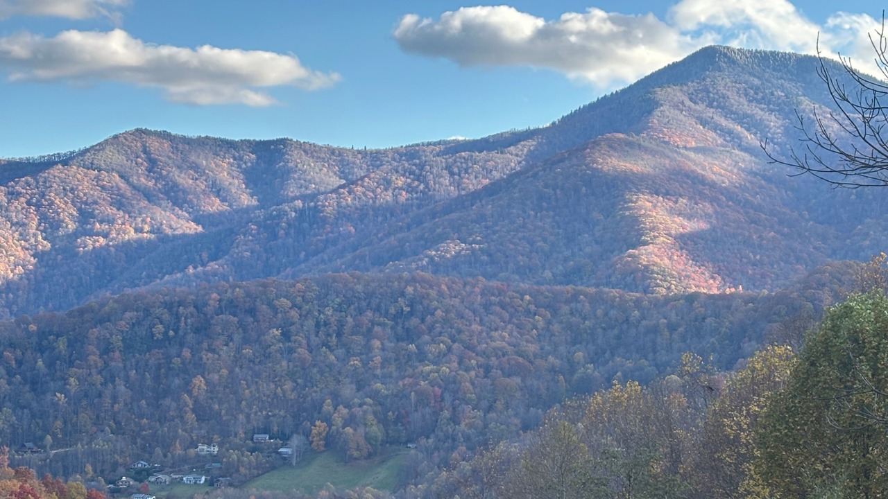 Photo of Others in Maggie Valley