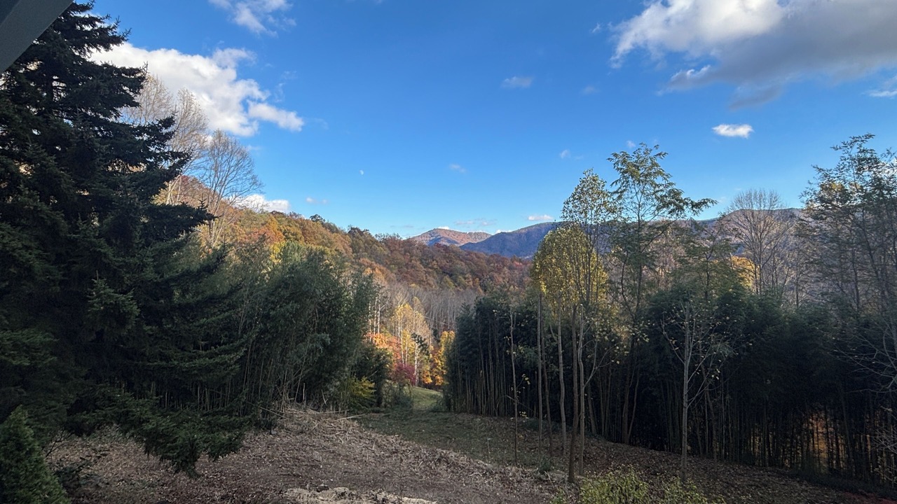 Photo of Others in Maggie Valley