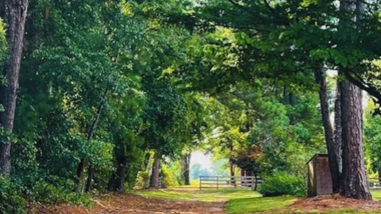 Photo of Others in Folkston
