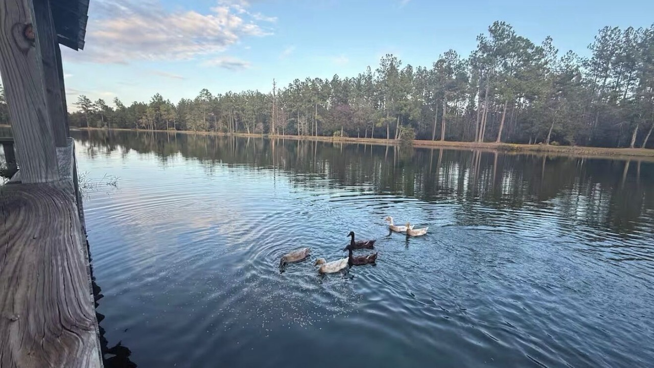 Photo of Others in Folkston