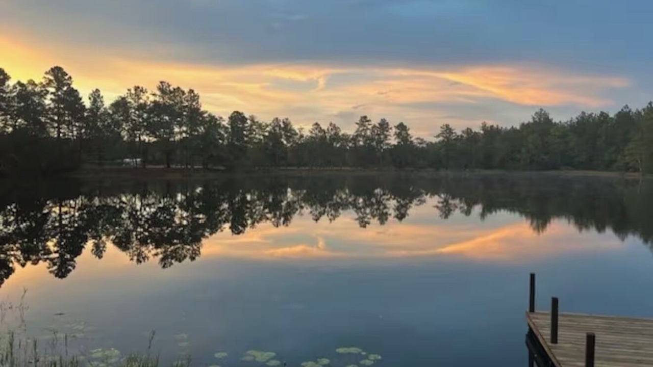 Photo of Others in Folkston