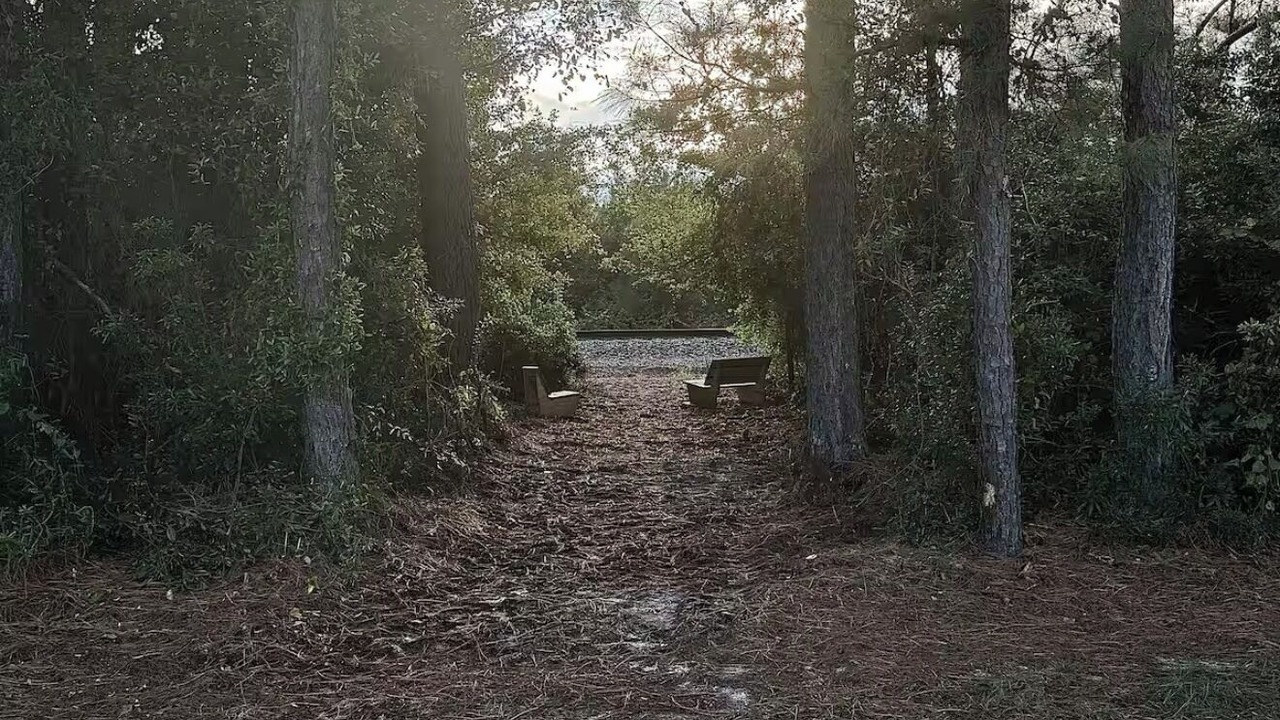 Photo of Outdoor in Folkston