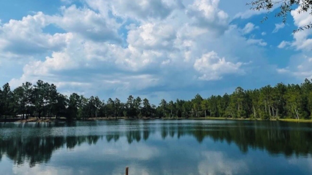Photo of Others in Folkston