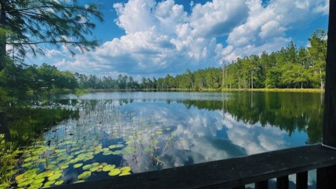Photo of Outdoor in Folkston