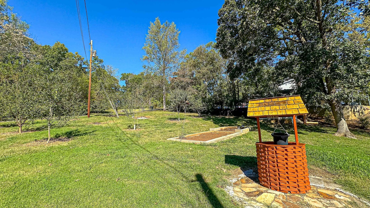 Photo of Outdoor in Dandridge