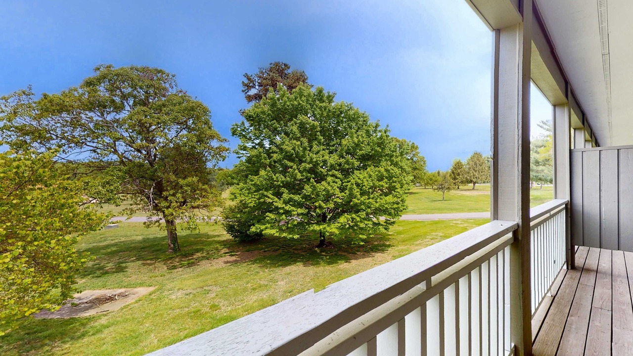 Photo of Outdoor in Baneberry