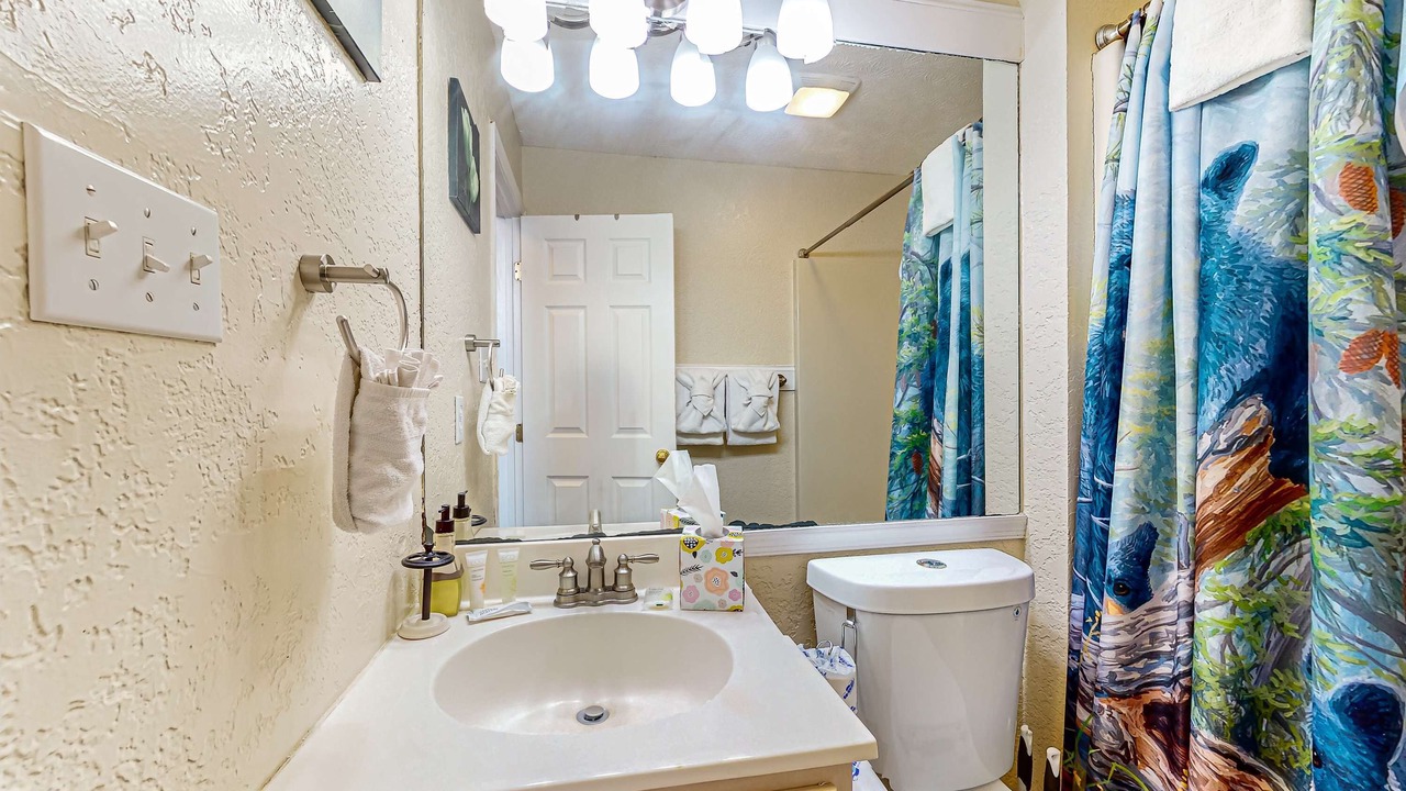 Photo of Bathroom in Sevierville