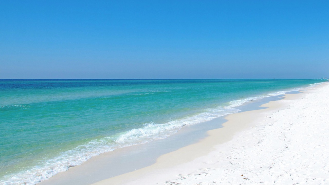 Photo of Others in Inlet Beach