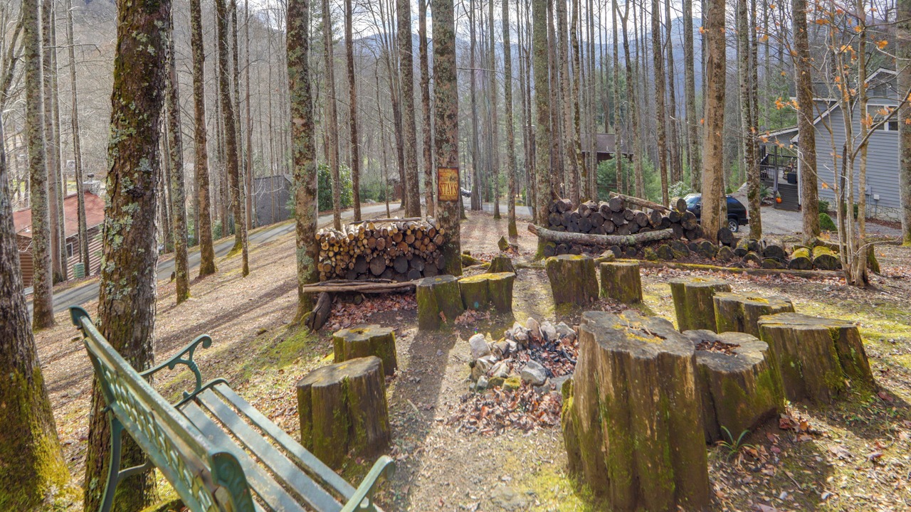 Photo of Others in Maggie Valley