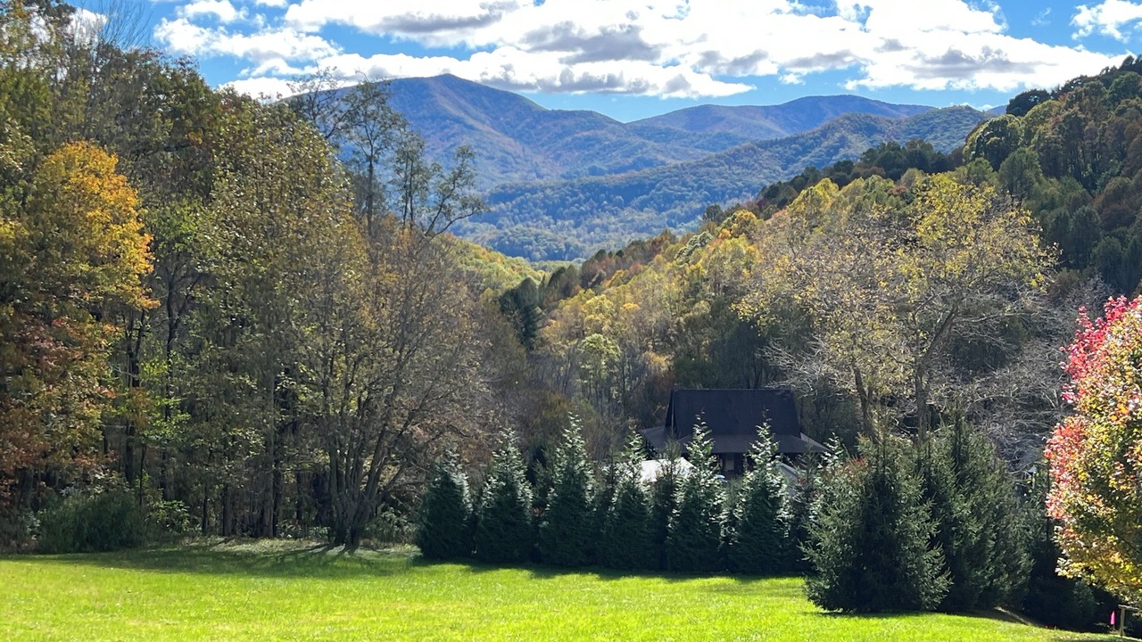 Photo of Outdoor in Waynesville