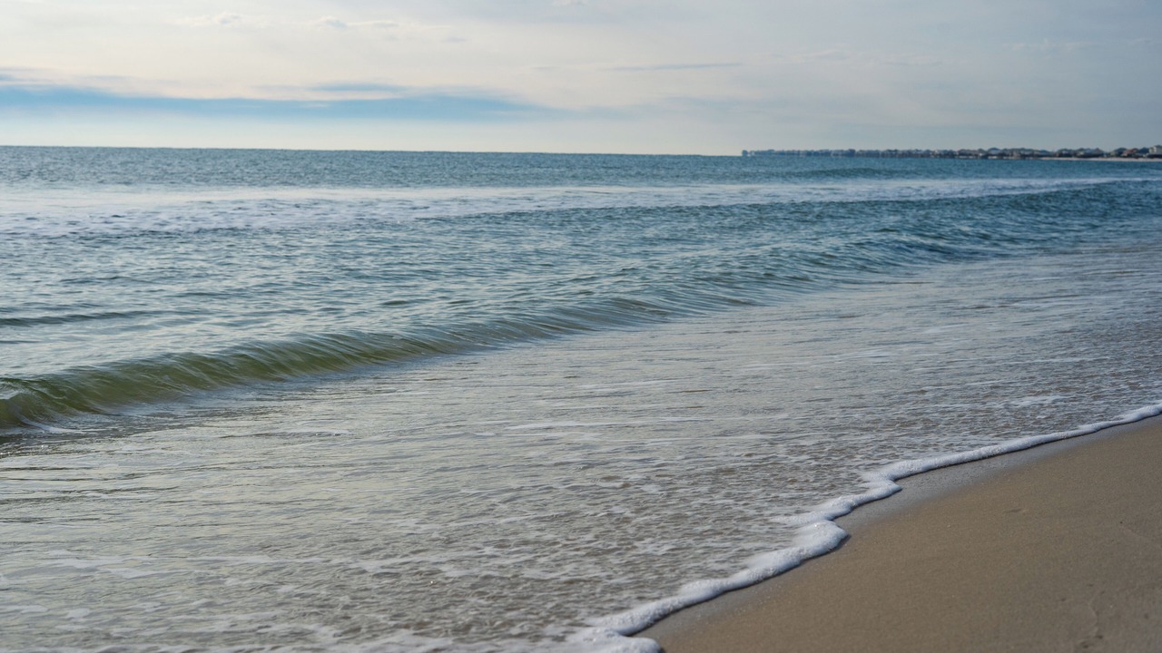Photo of Others in Dauphin Island