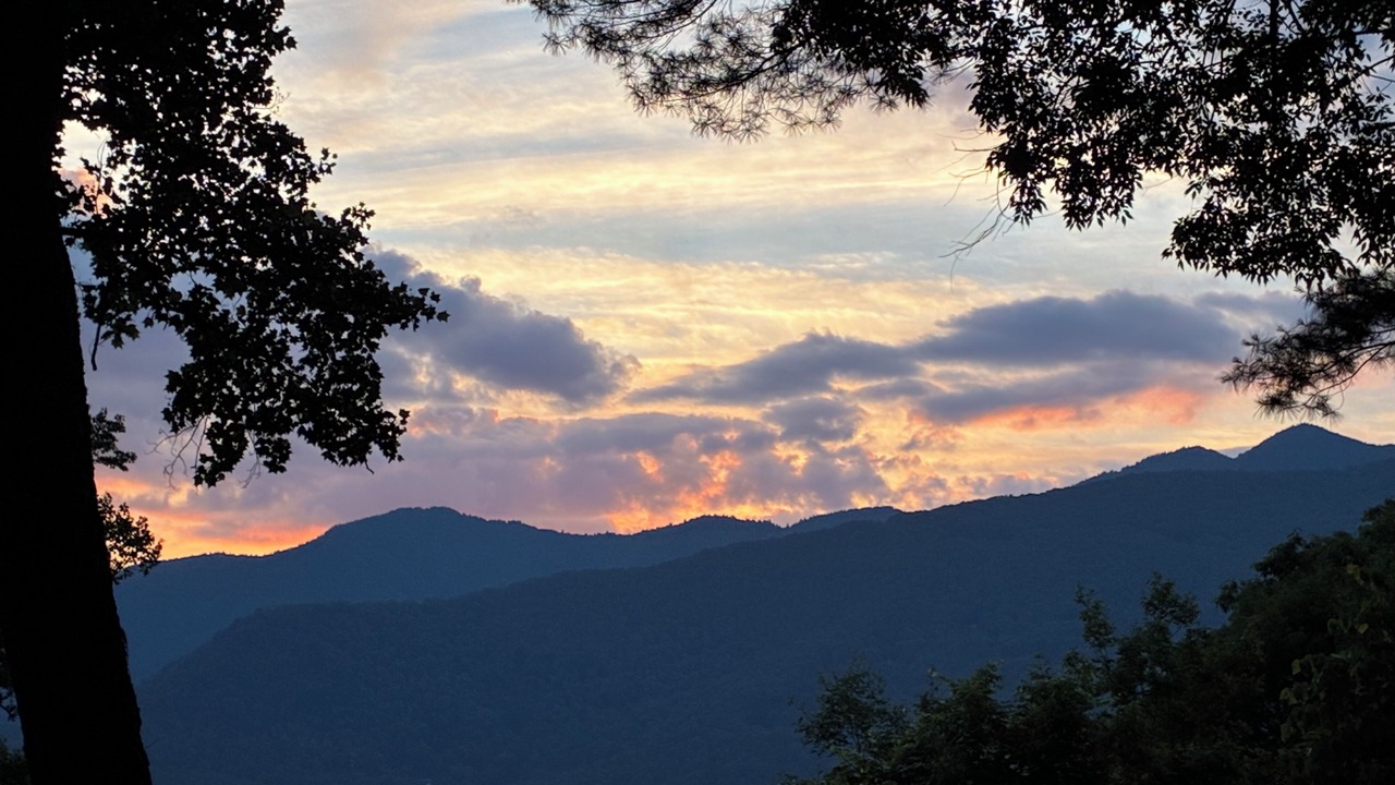 Photo of Outdoor in Balsam