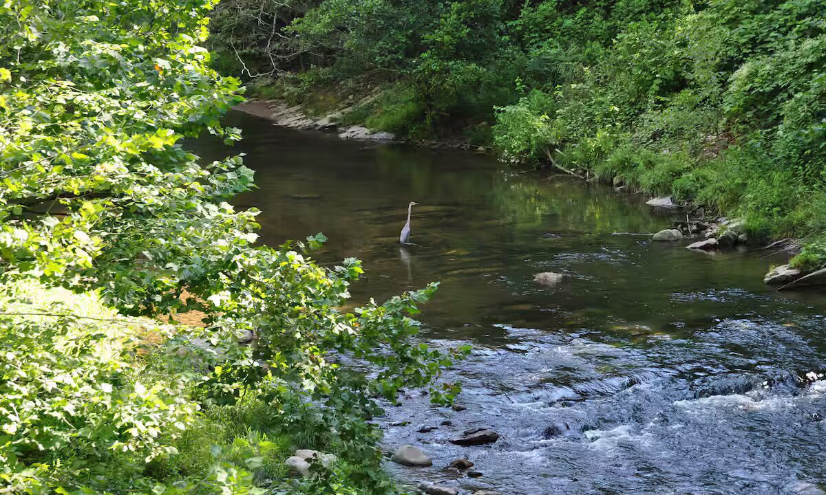 Photo of Others in Hot Springs