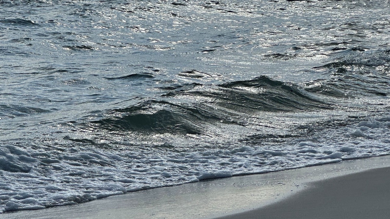 Photo of Others in Surf Side Shores