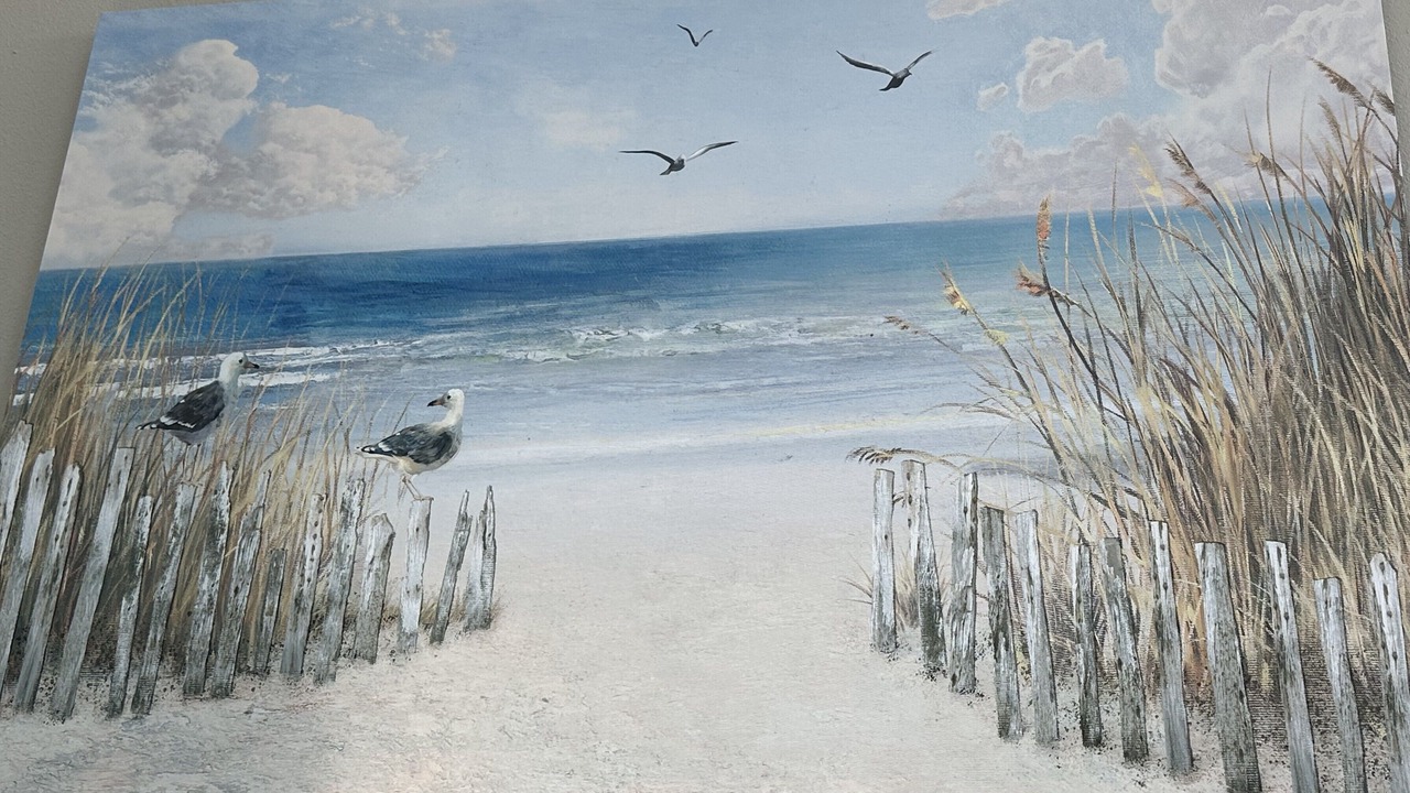 Photo of Others in Surf Side Shores