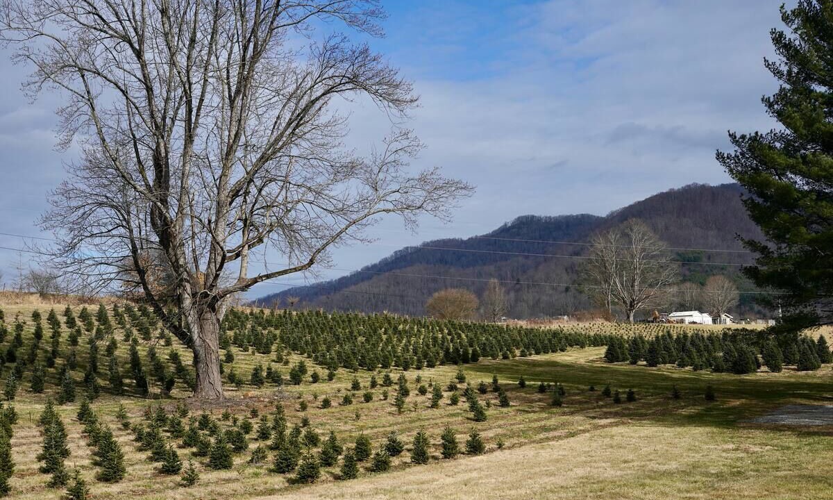 Photo of Others in Waynesville