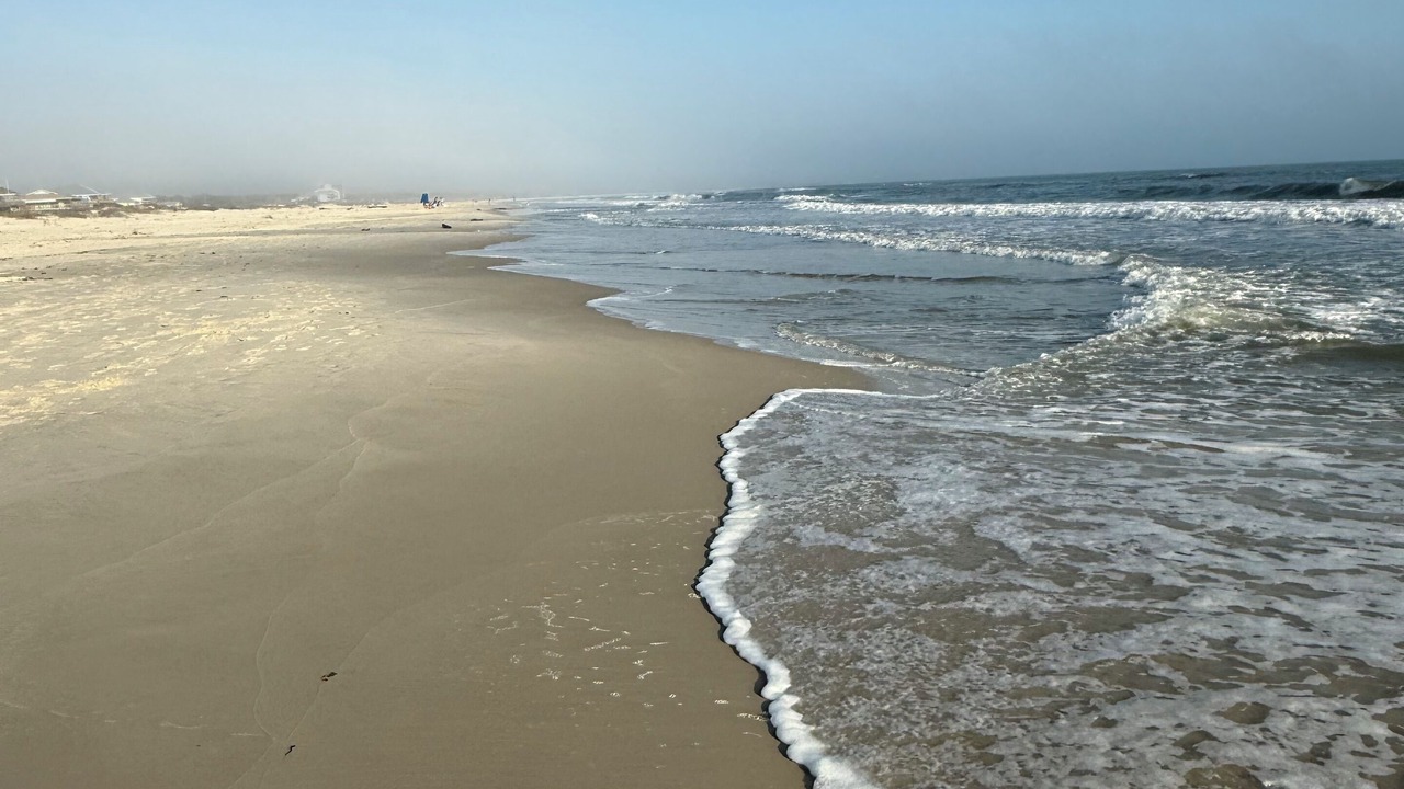 Photo of Others in Dauphin Island