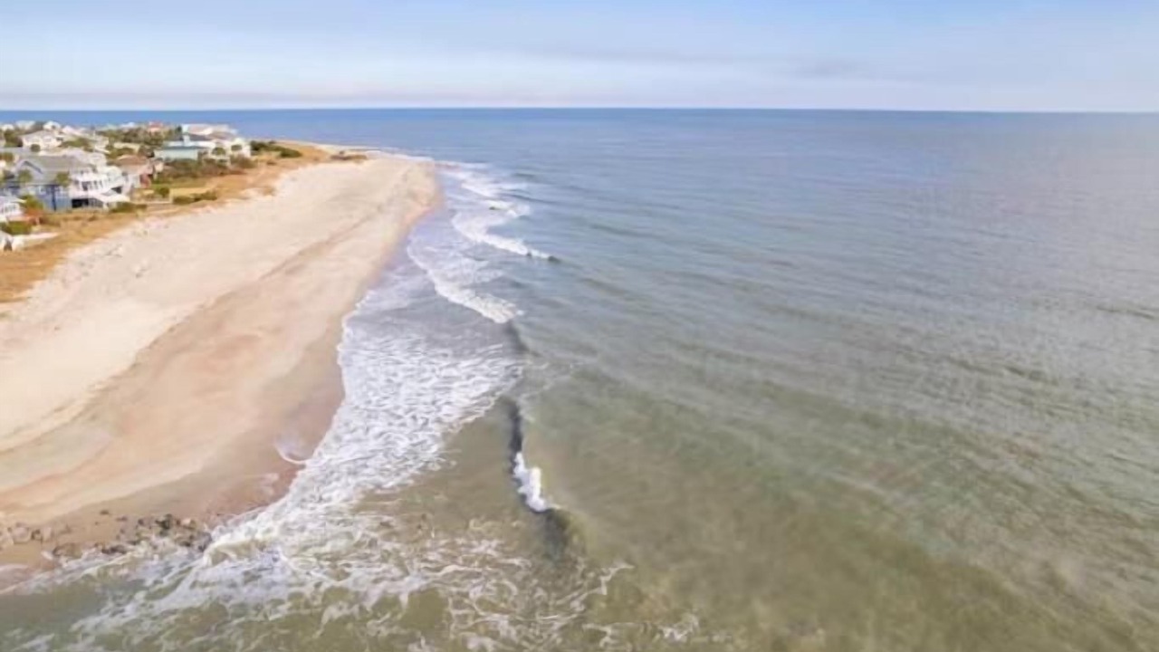 Photo of Others in Edisto Island