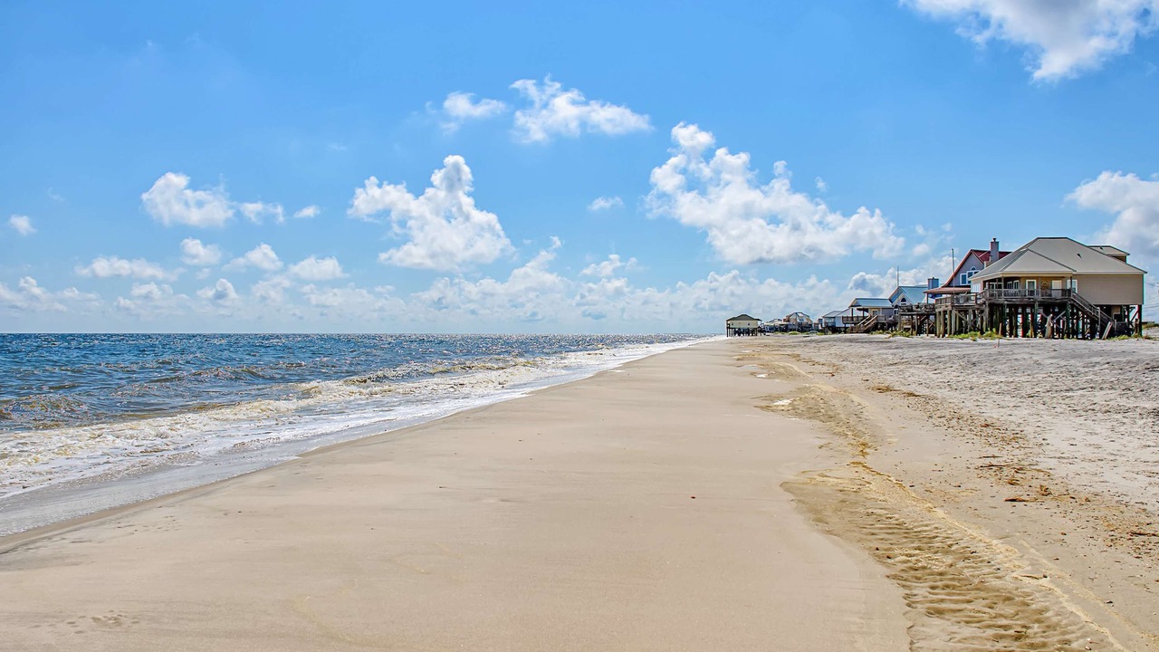Photo of Others in Dauphin Island