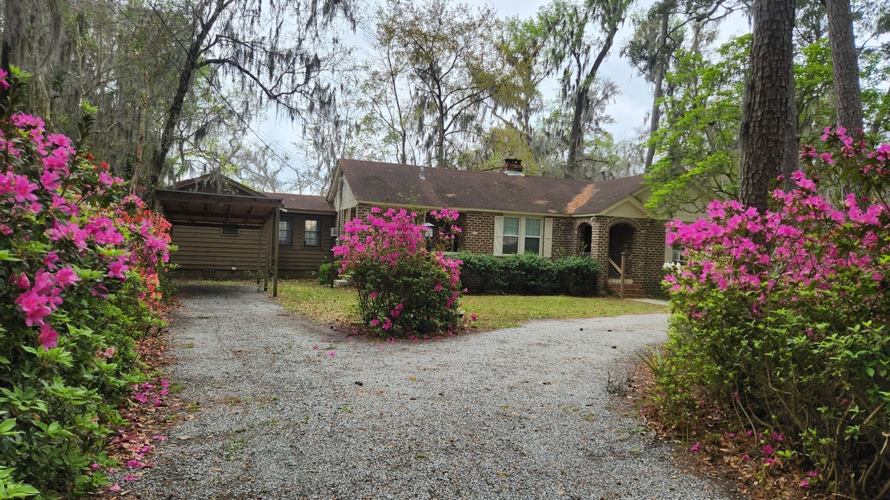 Photo of Outdoor in Savannah