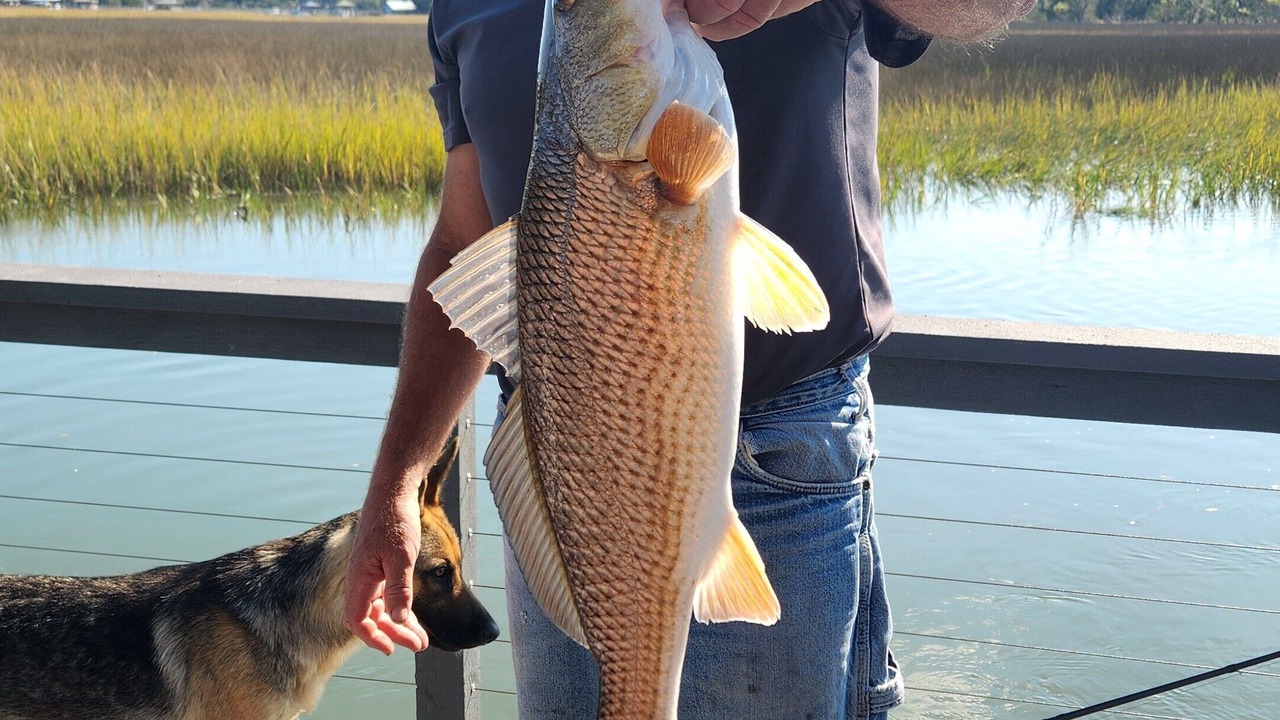 Photo of Others in Savannah