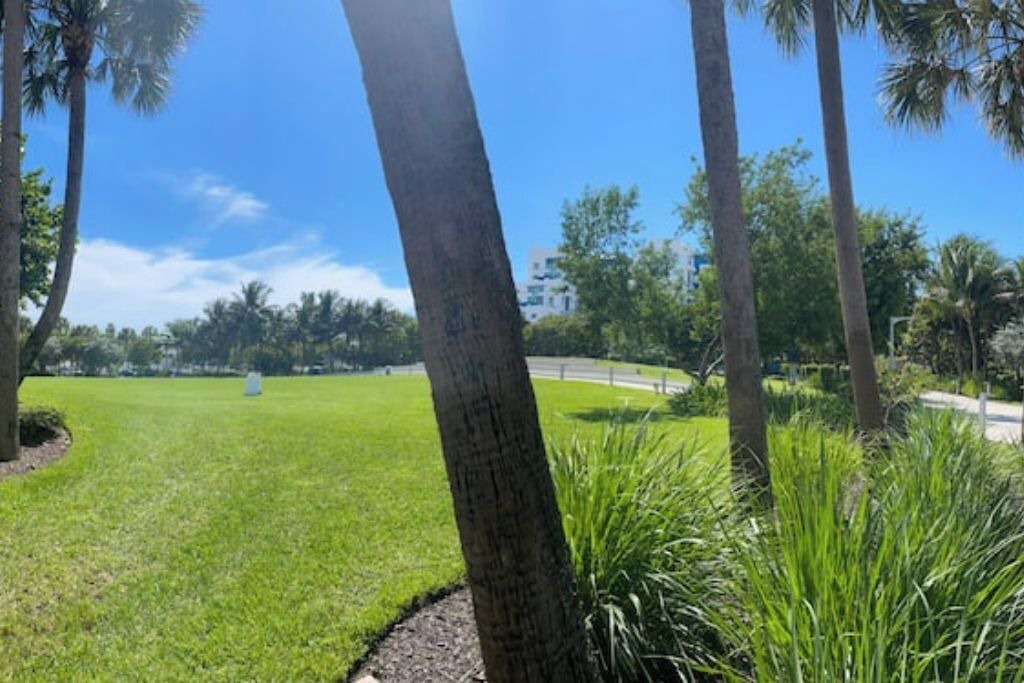 Photo of Outdoor in North Beach