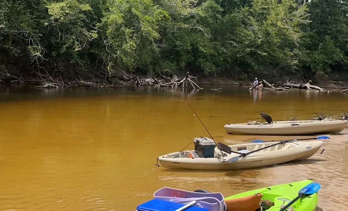 Photo of Others in Bayou View
