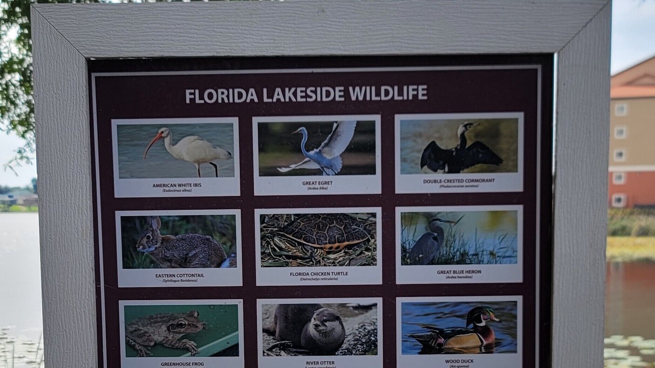 Photo of Others in Florida Central Atlantic Coast
