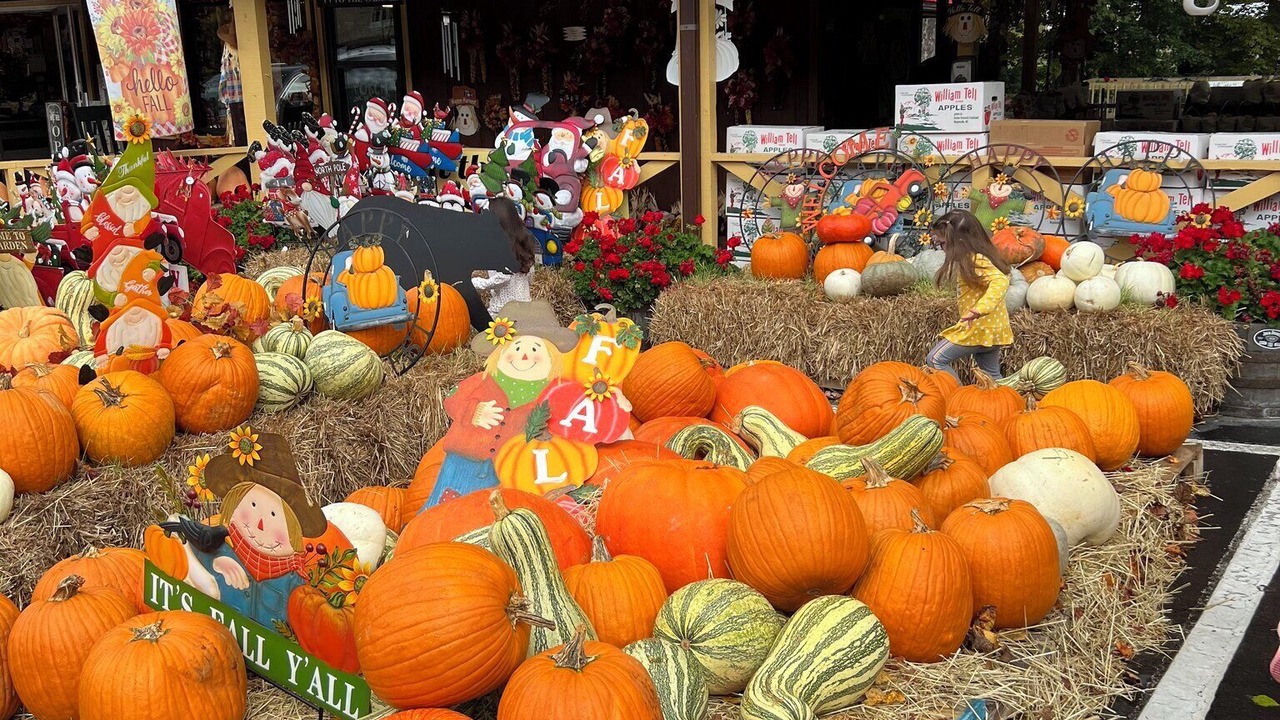 Photo of Others in Maggie Valley