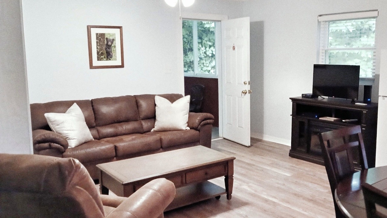 Photo of Livingroom in Maggie Valley