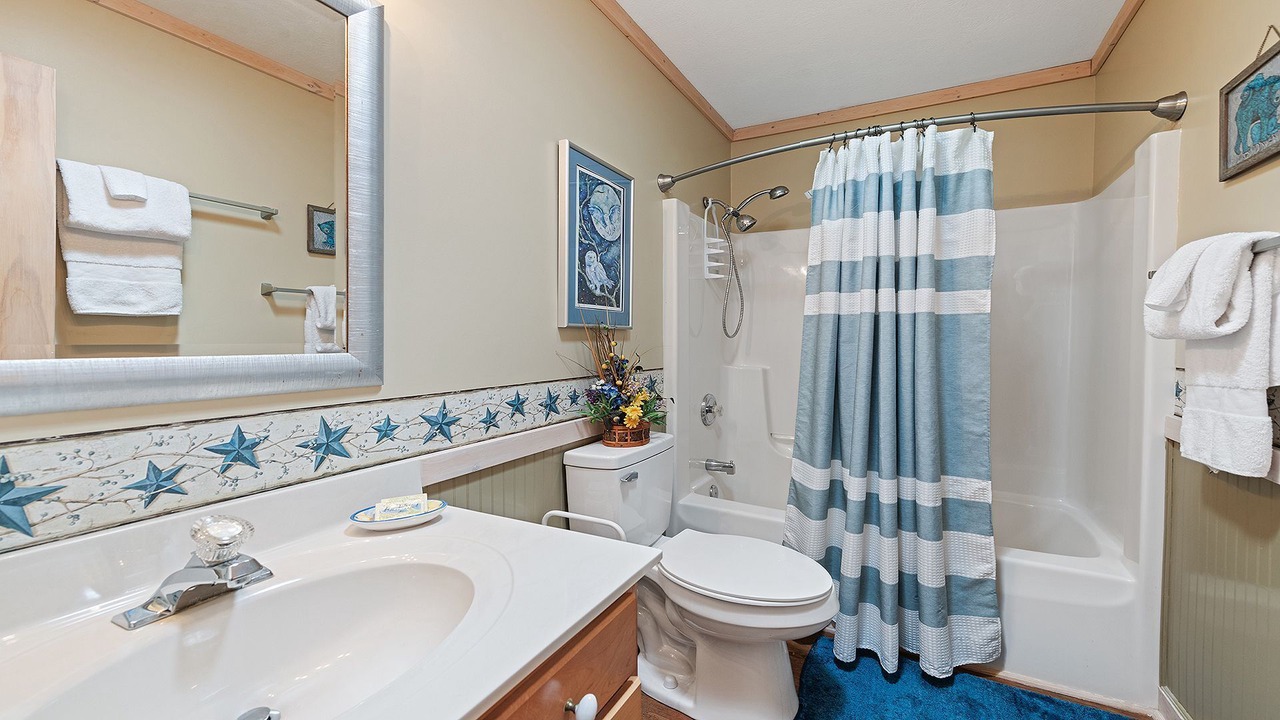 Photo of Bathroom in Maggie Valley