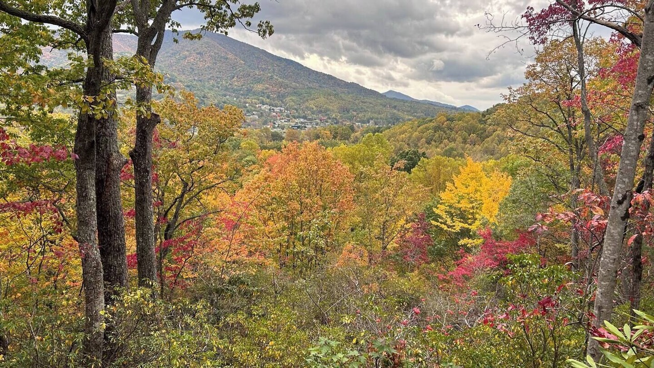 Photo of Others in Waynesville