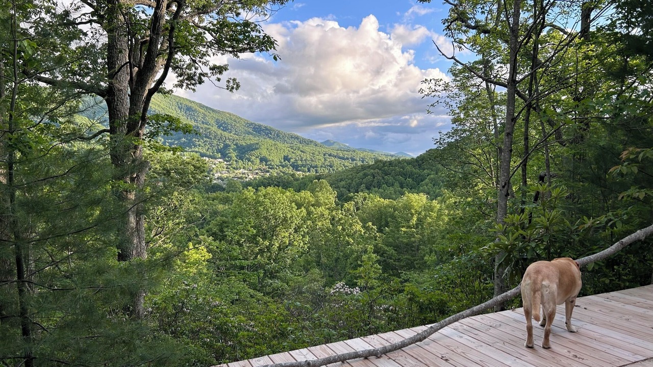 Photo of Others in Waynesville