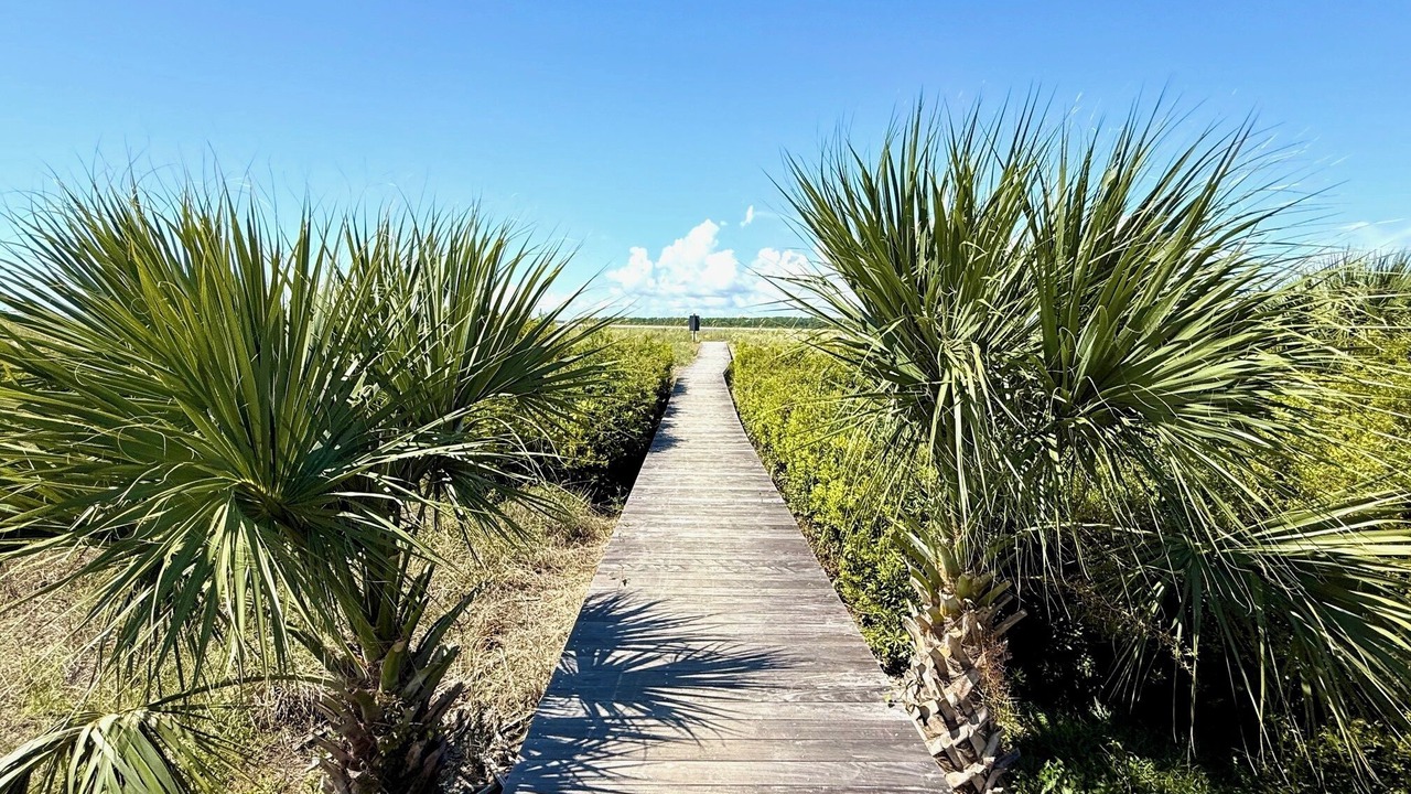 Photo of Others in Seabrook Island
