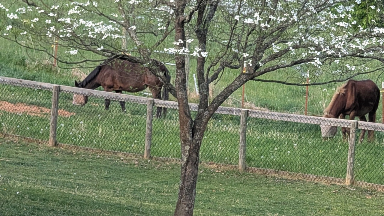 Photo of Others in Waynesville