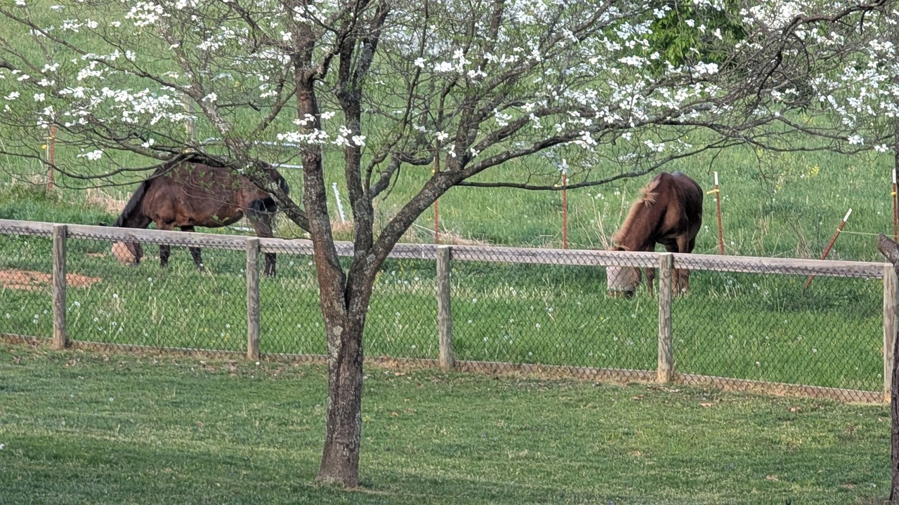 Photo of Others in Waynesville