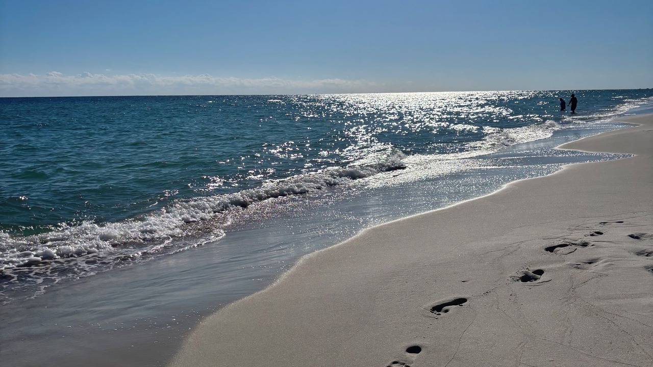 Photo of Others in Orange Beach East