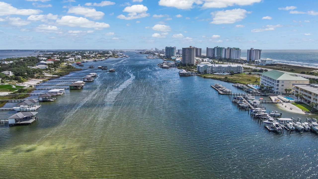 Photo of Others in Orange Beach East