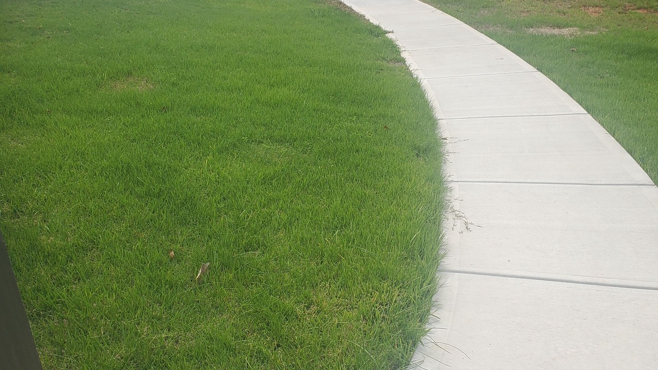 Photo of Outdoor in Marietta