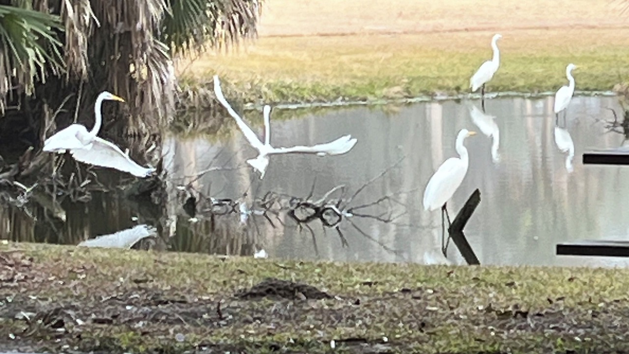 Photo of Others in Ocean Ridge
