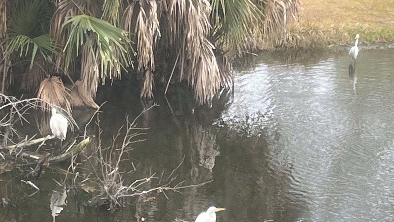 Photo of Others in Ocean Ridge