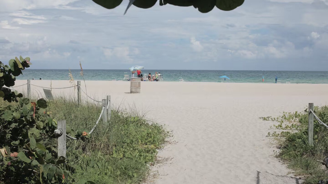Photo of Others in Mid Beach