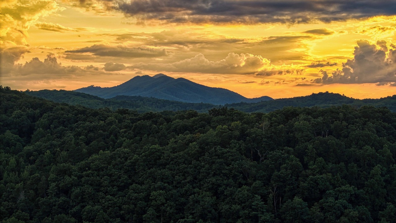 Photo of Others in Cosby