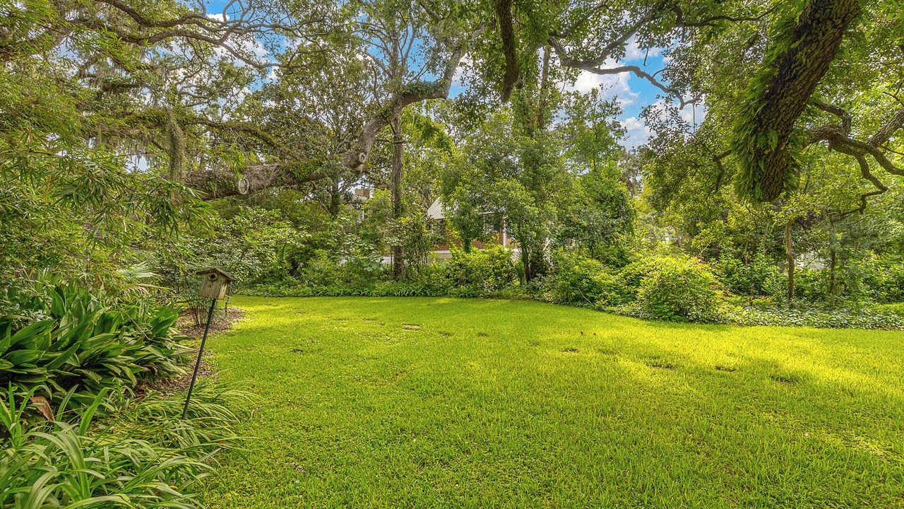 Photo of Outdoor in King City