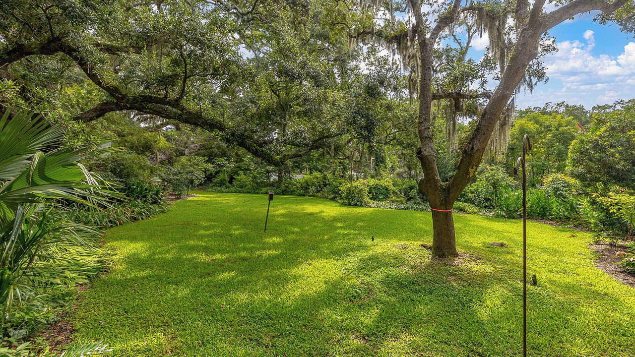 Photo of Outdoor in King City