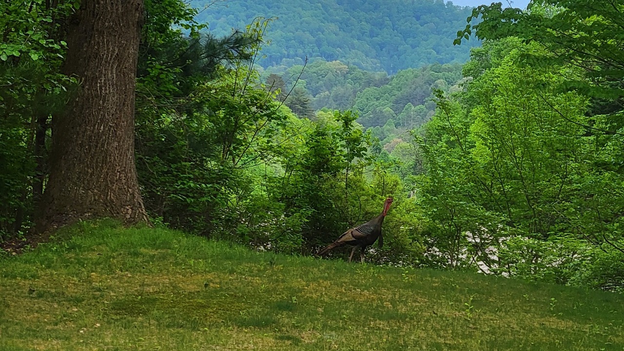 Photo of Others in Mars Hill
