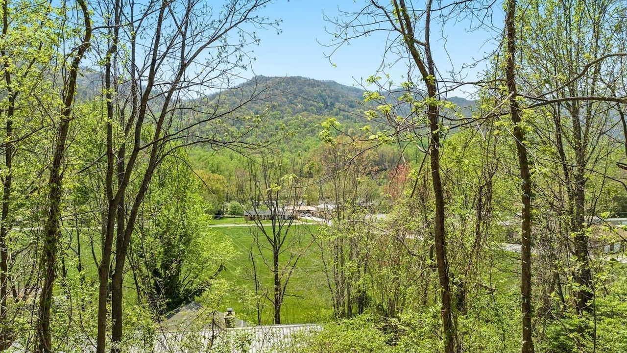 Photo of Others in Maggie Valley